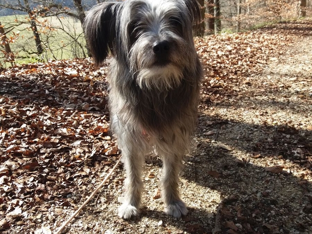 Im Frühjahr 2017 (2)